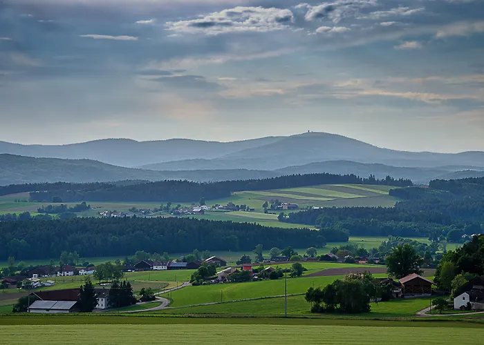 Altmann Hotel 3*