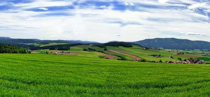Altmann Hotel 3*